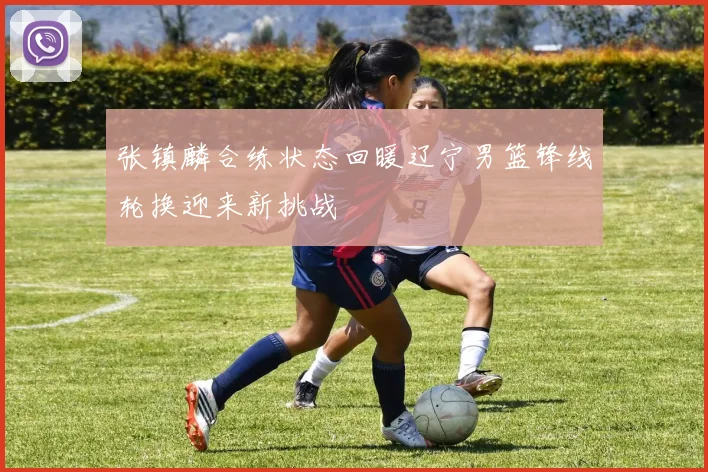 张镇麟合练状态回暖辽宁男篮锋线轮换迎来新挑战