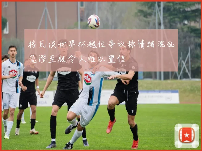 格瓦谈世界杯越位争议称情绪混乱荒谬至极令人难以置信